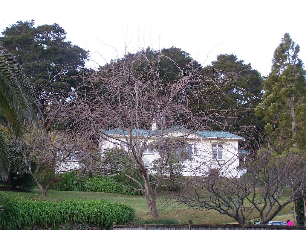 황거레이 Kauri Nest B&B 외부 사진